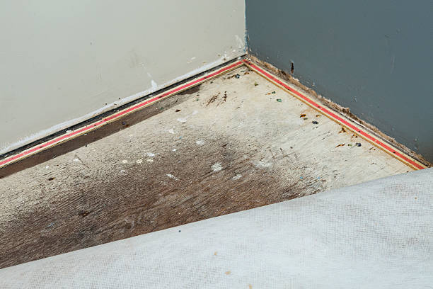 Emergency Relief: Swift Water Damage Restoration in Austin