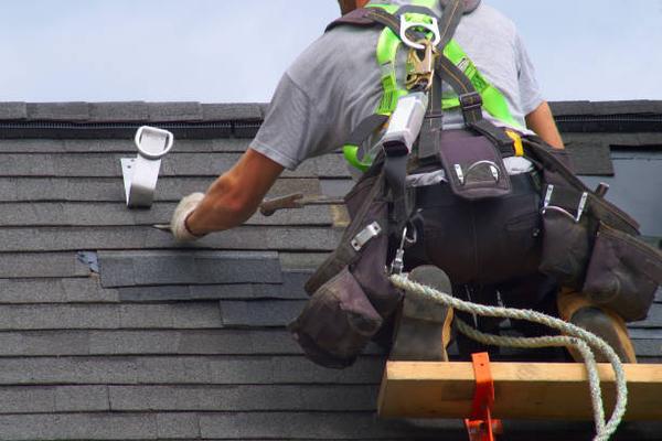 Evaluating Roofing Contractors in Wellington: What Homeowners Should Know