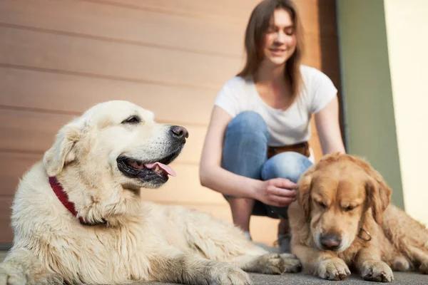 Indoor and Outdoor Dog Boarding Pensacola Options